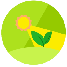 255 Years of Photosynthesis: The Science That Powers Life